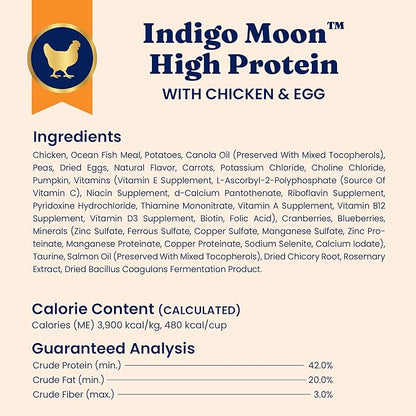 Solid Gold High Protein Dry Cat Food - Grain Free & Gluten Free Chicken Cat Dry Food w/Probiotics for Gut Health & Digestion - High Fiber & Omega 3 - Low Carb Superfood Kibble for Cats All Ages - 6LB