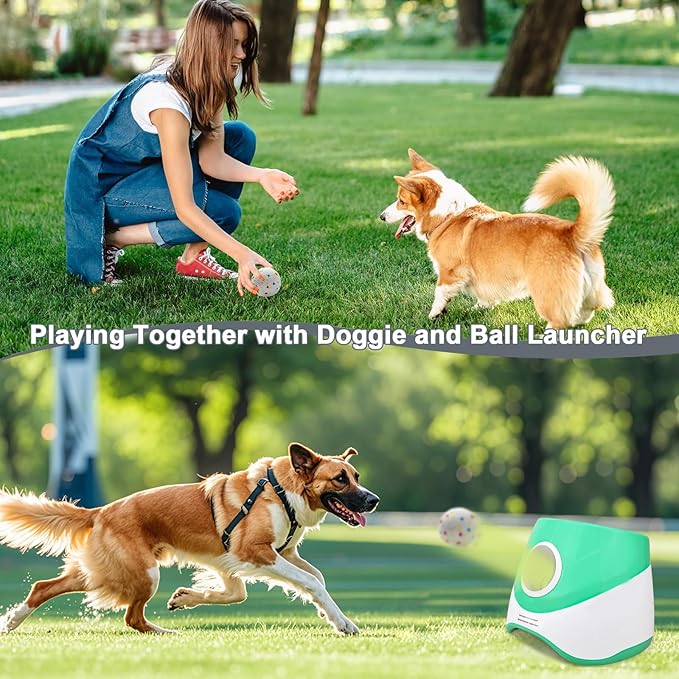 Dog Toy Balls 2.2 Inch, Indestructible Dogs Balls 5 Pack for Aggressive Chewers, Durable Interactive Toys for Small and Medium Puppy, Perfect for 2.2" Automatic Dog Ball Launcher (ETPU Material)