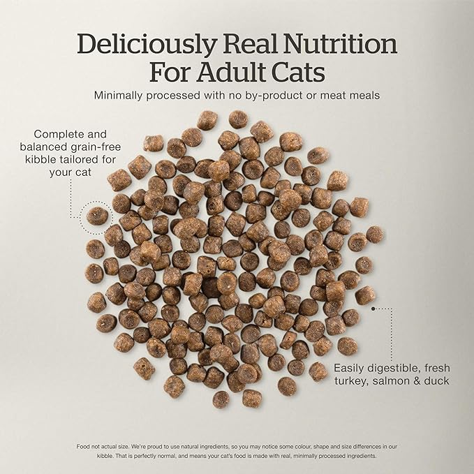 Now Fresh Grain-Free Dry Cat Food with Turkey, Salmon & Duck, Healthy Kibble for Adults Made with Real Meat & Fish, Chicken-Free, with Pumpkin & Probiotics for Sensitive Stomachs, 16 lb Bag