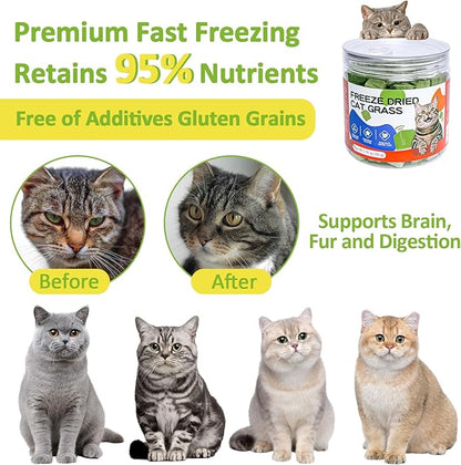 Freeze-Dried Cat Grass Treats with Premium Gourmet Blend - Natural Hairball Control & Gut Health Support for Cats (Chicken Breast Formula, 1.76 oz)