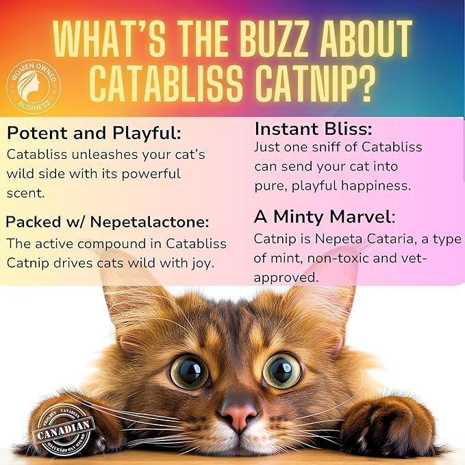 Catnip for Cats – 1oz Jar - 100% Essential Natural Cat Nip Herb Resealable Jar - Fresh Aroma Stimulates Activity & Enhancing Play for Indoor Cats - Great for Cat Nip Toys, Play & Training