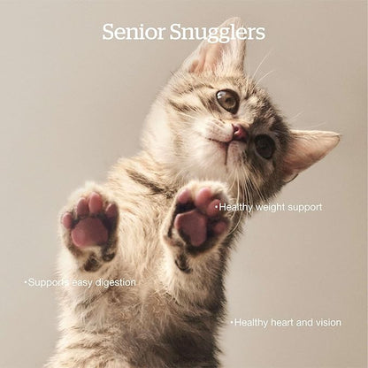 Now Fresh Grain-Free Senior Dry Cat Food with Turkey, Salmon & Duck, Premium Kibble Made with Real Meat & Fish, Chicken-Free Recipe, Supports Healthy Weight Management, 16 lb Bag