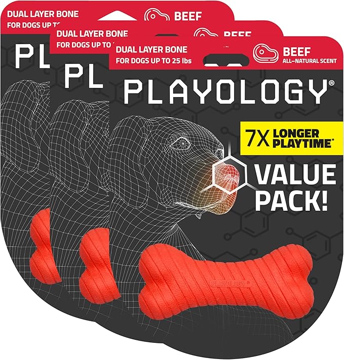 Playology Dog Toys | Dual Layer Bone Chew Toy Bone for Dogs (Value 3-Pack) | Small Beef Scented Toy - Easy to Clean and Made from Non Toxic Materials