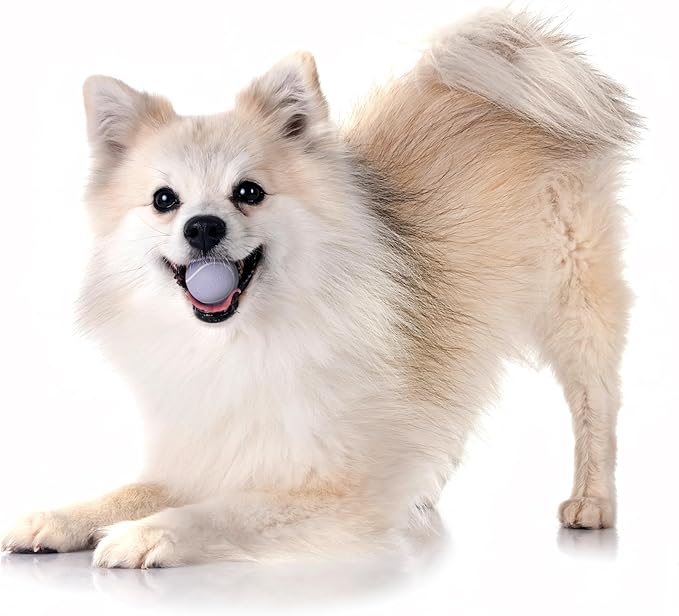 Playology Dog Toys | Squeaky Chew Ball - Bouncy Durable Floating Fetch Ball for Dogs, Value 3-Pack | Small Lamb Scented Toy - Easy to Clean and Made from Non Toxic Materials