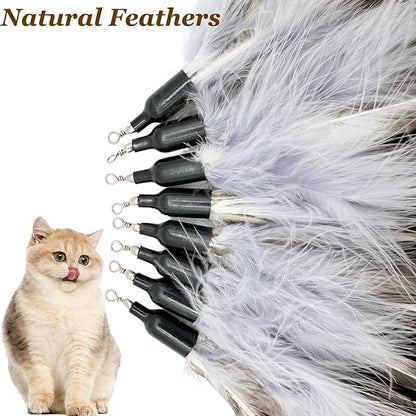 Cat Feather Toy Refills, 8 Pieces Natural Da Bird Feathers Refills, Cat Wand Replacement Feathers for Cat Toys