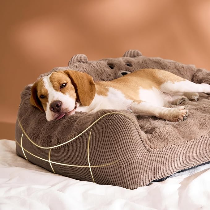 LE SURE Cute Cat Couch for Pets - Fluffy Original Bear Design for Small Dog Bed, Supportive Dog Couch with Removable Washable Cover, Puppy Bed for Small and Medium Dogs, 28inch, Brown