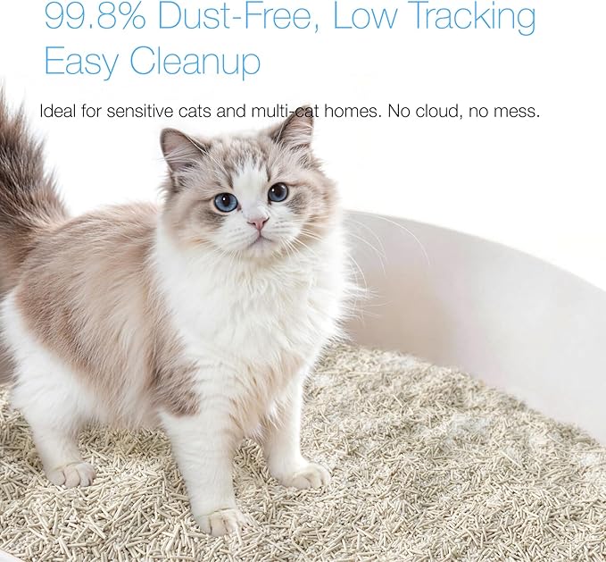 Smart Health Monitoring Cat Litter – Color-Changing, Fast Clumping, Odor Control, Low Dust | 3-Pack,Free cat scartcher