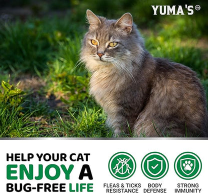 Flea Treatment for Cats - Flea and Tick Prevention for Cats - 160 Soft Treats - Natural Oral Supplement Pills for Kittens - All Breeds & Ages - Made in USA