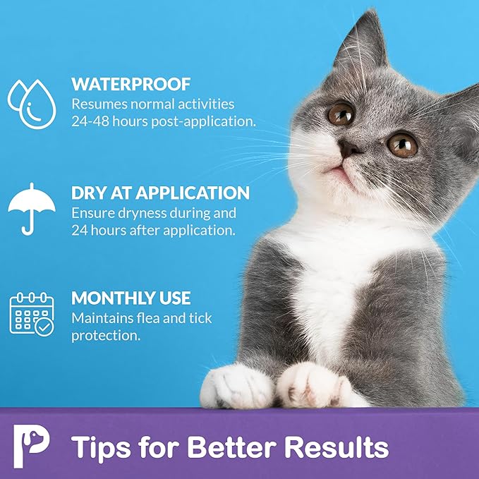 Flea and Tick Prevention for Cats & Kittens: Waterproof Topical Cat Flea and Tick Treatment – Fast-Acting & Long-Lasting At Home Flea Control for Cats Over 1.5 lbs and 8 Weeks or Older – 6 Dose Supply