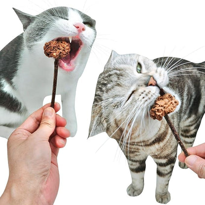 4 PCS Silvervine Stick Cat Toy with Gall Fruit – Natural Lollipop-Shaped Matatabi Chew Toy for Cats – Catnip Alternative for Teeth Cleaning, Anxiety Relief & Interactive Play – 4.8" Cat Dental Toy