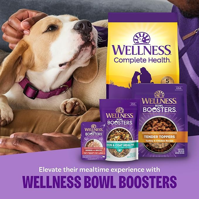 Wellness Complete Health Dry Dog Food, Large Breed, Wholesome Grains, Chicken & Brown Rice Recipe, (38-Pound Bag)