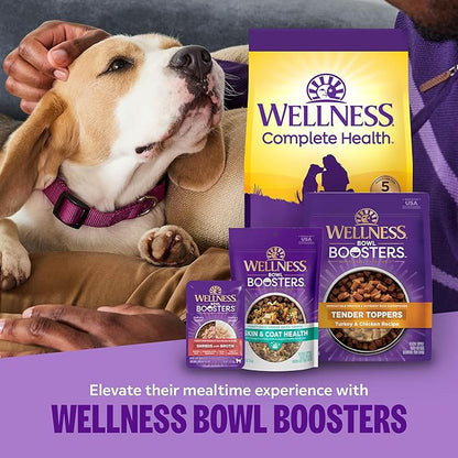 Wellness Complete Health Dry Dog Food, Large Breed, Wholesome Grains, Chicken & Brown Rice Recipe, (38-Pound Bag)