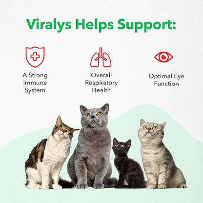 Vetoquinol Viralys Daily L-Lysine Gel for Cats and Kittens, Maple Flavored Lysine Supplement for Cats and Kittens to Support Immune Health, Normal Eye Function and Respiratory Health, 5oz