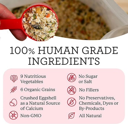 Dr. Harvey's Canine Health Miracle Dog Food, Human Grade Dehydrated Base Mix for Dogs with 9 Vegetables and 6 Organic Whole Grains (Trial Size 6.5 Oz)