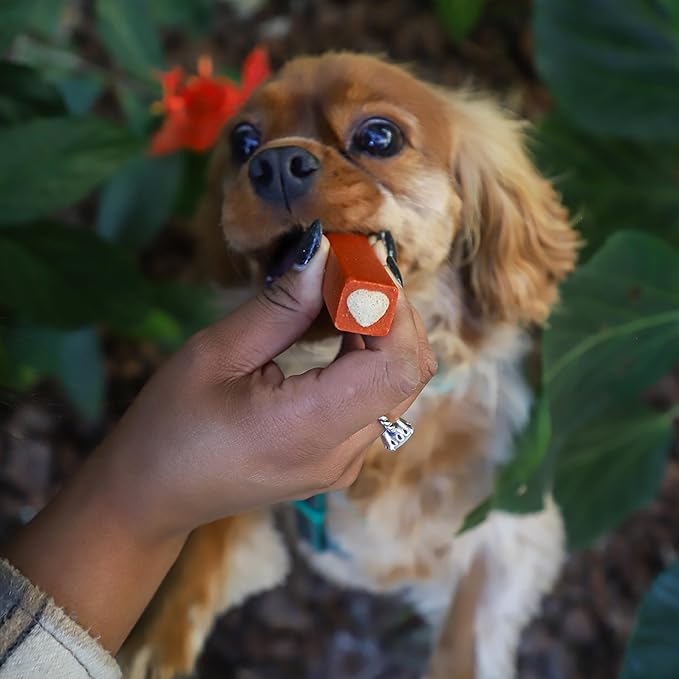 Ark Naturals Protection+ Brushless Toothpaste, Dog Dental Chews for Small Breeds, Prevents Plaque & Tartar, Freshens Breath, 35oz, 1 Pack, Red