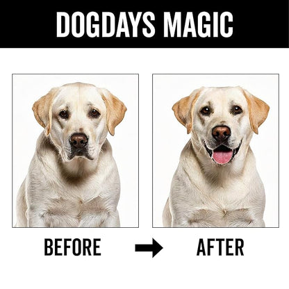 PRIDE AND GROOM DogDays Deodorizing Dog Spray | Long-Lasting Pet Odor Eliminator with Fresh & Clean Scent | Hydrating Dog Cologne & Coat Refresher – 8 fl oz