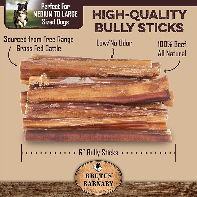 BRUTUS & BARNABY 12 Cow Ears + 12 Pig Ears + 12 Bully Sticks