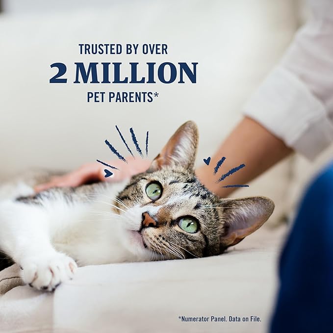 PetArmor Plus Flea and Tick Prevention for Cats, Cat Flea and Tick Treatment, 12 Doses, Waterproof Topical, Fast Acting, Cats Over 1.5 lbs