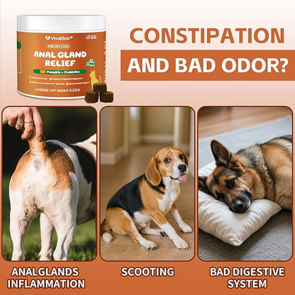 Constipated Cat - Pumpkin + Probiotic Soft Chews - Promotes Digestive Health, Regular Bowel Movements, and Intestinal Balance | Veterinarian-Approved, 120 Chewable Tablets