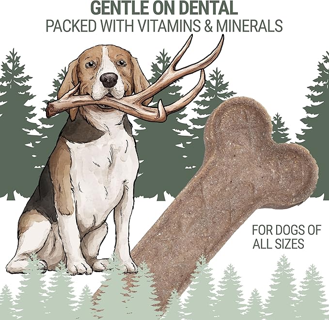 Antler and Himalayan Cheese Dog Chew | Long Lasting, Stain Free, Protein Rich, Low Odor | 100% Natural, Healthy & Safe | No Lactose, Gluten Or Grains | Antler Bone | for Dogs 45 Lbs & Smaller