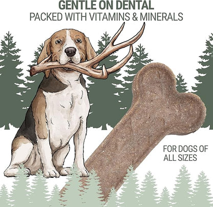 Antler and Himalayan Cheese Dog Chew | Long Lasting, Stain Free, Protein Rich, Low Odor | 100% Natural, Healthy & Safe | No Lactose, Gluten Or Grains | Antler Bone | for Dogs 45 Lbs & Smaller