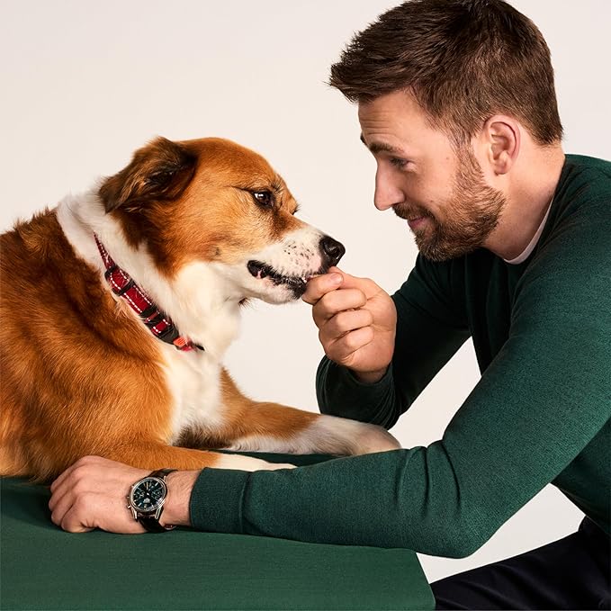 Jinx Tenders Beef Jerky Dog Treats, All Natural Ingredients, Soft and Chewy, Low-Calorie, Slow-Smoked Beef & Liver, No Fillers, 5oz, 6 Pack