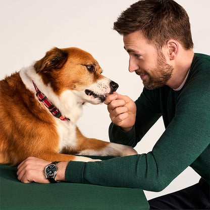 Jinx Tenders Beef Jerky Dog Treats, All Natural Ingredients, Soft and Chewy, Low-Calorie, Slow-Smoked Beef & Liver, No Fillers, 5oz, 6 Pack