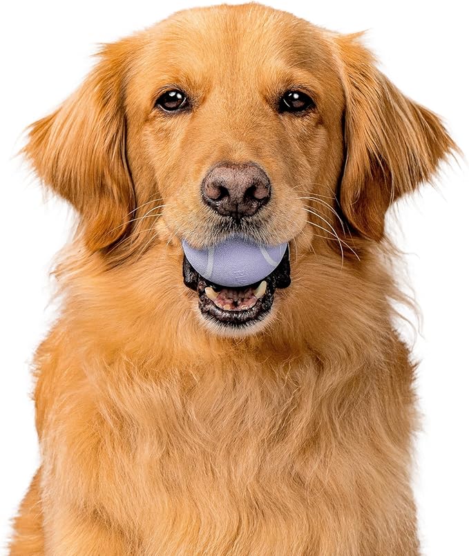 Playology Dog Toys | Squeaky Chew Ball - Bouncy Durable Floating Fetch Ball for Dogs | Medium Lamb Scented Toy - Easy to Clean and Made from Non Toxic Materials
