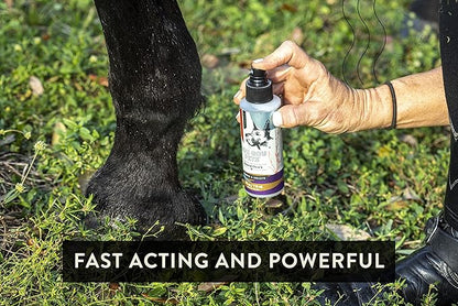 Joint Spray for Dogs, Cats, and Horses – Natural Herbal Pain Relief for Sprains, Strains, and Swelling – 4 oz