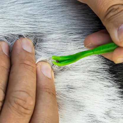 TickCheck Tick Remover Value 3 Pack - Tick Remover Tools + Tick Identification Card - for Humans, Dogs & Cats (5)