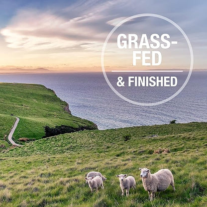 Feline Natural High Protein Dry Cat Food, Freeze-Dried Diet with 98% Meat, Organs & Seafood, No Peas, Grains, or Artificial Additives, Made in New Zealand, Lamb & King Salmon, 3.5oz (Pack of 2)