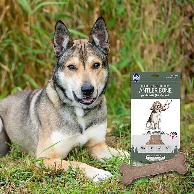 Antler and Himalayan Cheese Dog Chew | Long Lasting, Stain Free, Protein Rich, Low Odor | 100% Natural, Healthy & Safe | No Lactose, Gluten Or Grains | Antler Bone | for Dogs 45 Lbs & Smaller