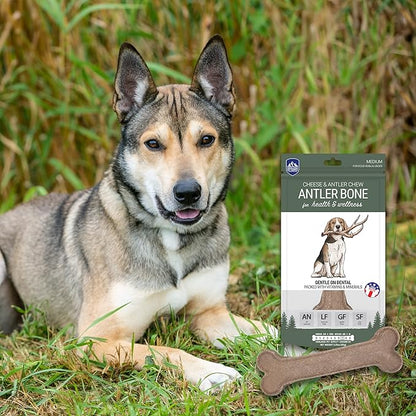 Antler and Himalayan Cheese Dog Chew | Long Lasting, Stain Free, Protein Rich, Low Odor | 100% Natural, Healthy & Safe | No Lactose, Gluten Or Grains | Antler Bone | for Dogs 45 Lbs & Smaller