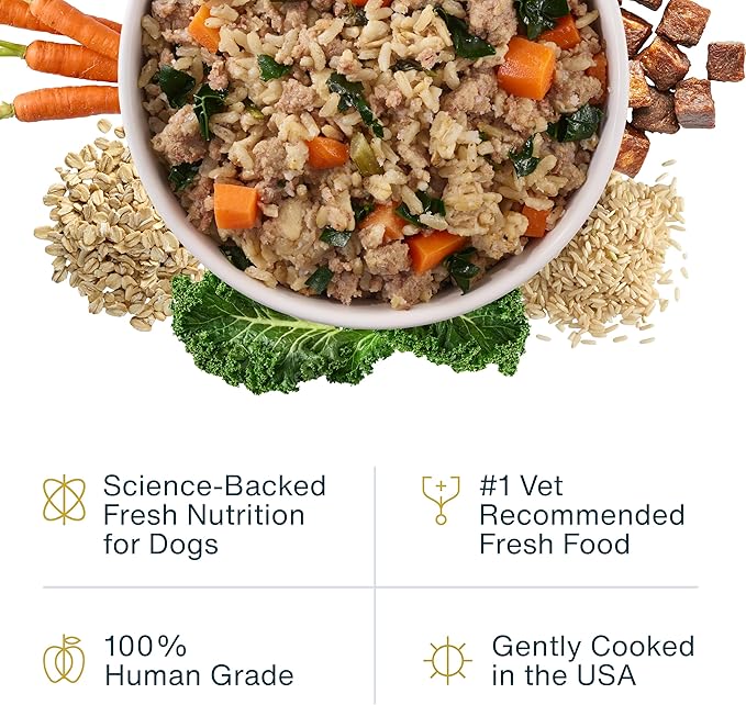 JustFoodForDogs JustFresh Wet Dog Food, Fresh Pet Meals and Toppers with No Preservatives, Resealable Package, Human Grade, Home-Cooked Beef, 12 oz - 7 Pack