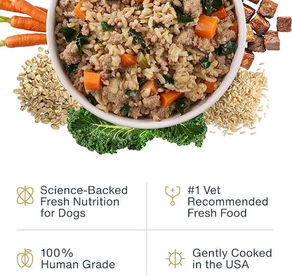 JustFoodForDogs JustFresh Wet Dog Food, Fresh Pet Meals and Toppers with No Preservatives, Resealable Package, Human Grade, Home-Cooked Beef, 12 oz - 7 Pack