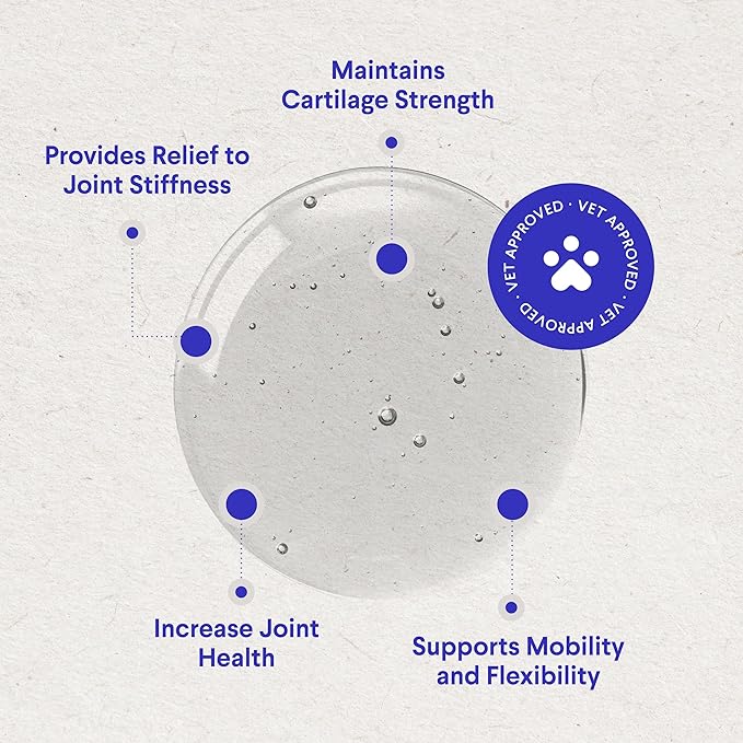 WONDER PAWS Premium Liquid Glucosamine for Dogs Strength Joint Support, Flexibility, Cartilage & Mobility - Hip and Joint Supplement with Chondroitin, MSM, Collagen & Hyaluronic Acid (16 Oz)