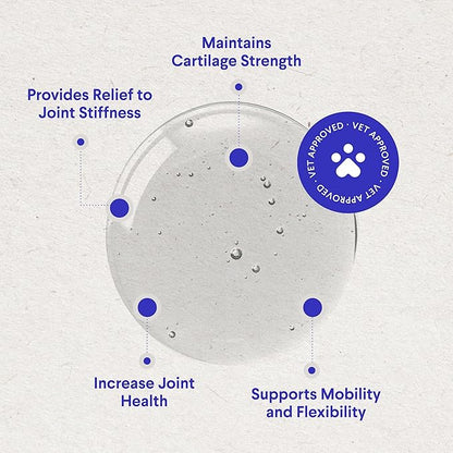 WONDER PAWS Premium Liquid Glucosamine for Dogs Strength Joint Support, Flexibility, Cartilage & Mobility - Hip and Joint Supplement with Chondroitin, MSM, Collagen & Hyaluronic Acid (16 Oz)