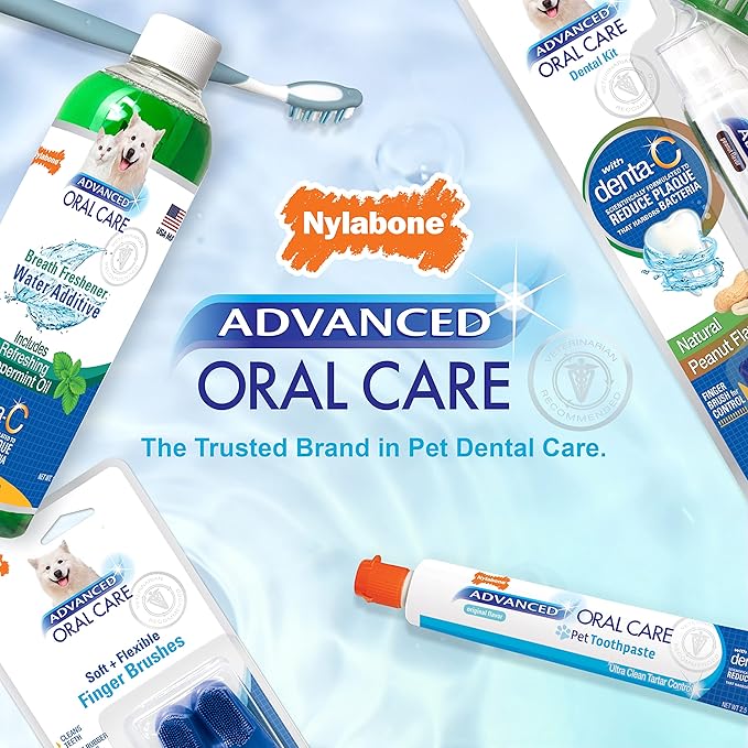 Nylabone Advanced Oral Care Cat Dental Kit Original (3 Count)