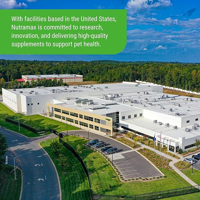 Nutramax Cosequin Elements Dog Joint Health Supplement with Glucosamine, Green Lipped Mussel, Omega-3s, Eggshell Membrane, Hyaluronic Acid, & Postbiotics, 75 Tasty Chewable Tablets for Dogs