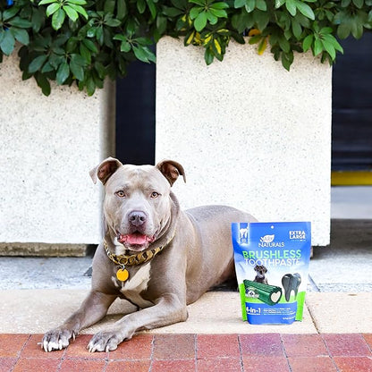 Ark Naturals Brushless Toothpaste, Dog Dental Chews for Extra Large Breeds, Freshens Breath, Unique Texture Helps Reduce Plaque & Tartar, 24oz (Pack of 6)