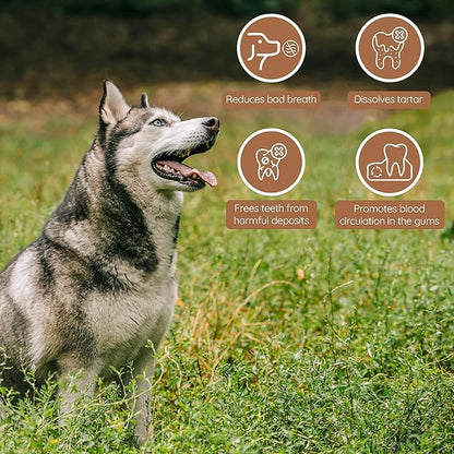 Wildfang® Olive Wood Chewing Sticks for Dogs, Medium - Tough Chew Toys for Aggressive Chewers, Puppy Chew Toys for Teething, Training for Chewing Muscles, Olive Wood Stick for Dog (33-55lbs), 3pack