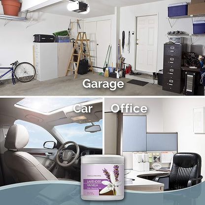 SMELLS BEGONE Air Freshener Odor Absorber Gel - 15 oz, Pack of 2 - Absorbs and Eliminates Odor in Pet Areas, Bathrooms, Cars, & Boats - Made with Essential Oils - Lavender Vanilla Scent