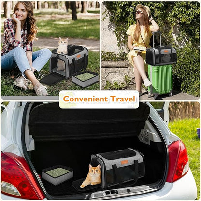 PETUX Airline Approved Cat Carrier or Small Cat up to 12 lb - 17x11x9.5 in Underseat, Top & Side Entry Pet Carrier with Breathable Anti-Scratch Mesh & Litter Box for Travel and Vet Visit - Grey