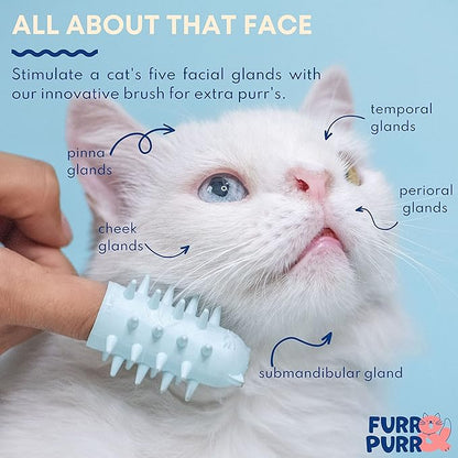 Furr&Purr Cat Brush Set for Indoor Cats - Grooming Tools: Face Scratcher, Calming Massager, and Scratching Pad (2-Pack, Made in the USA)