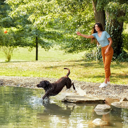 Nature′s Recipe Lamb, Barley & Brown Rice Recipe Dry Dog Food, 4 lb. Bag