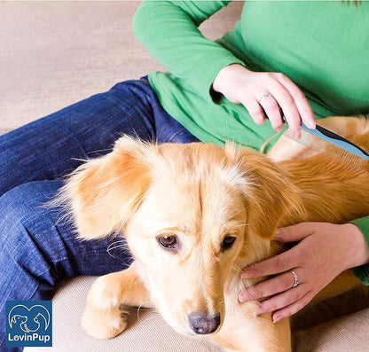 Dog Comb, Grooming Set for Dogs, 2 Sizes Pet Grooming Comb with Stainless Steel Teeth, Comfort Grip Handle, Dog Grooming Supplies, Large Pet Comb and Small Pet Comb