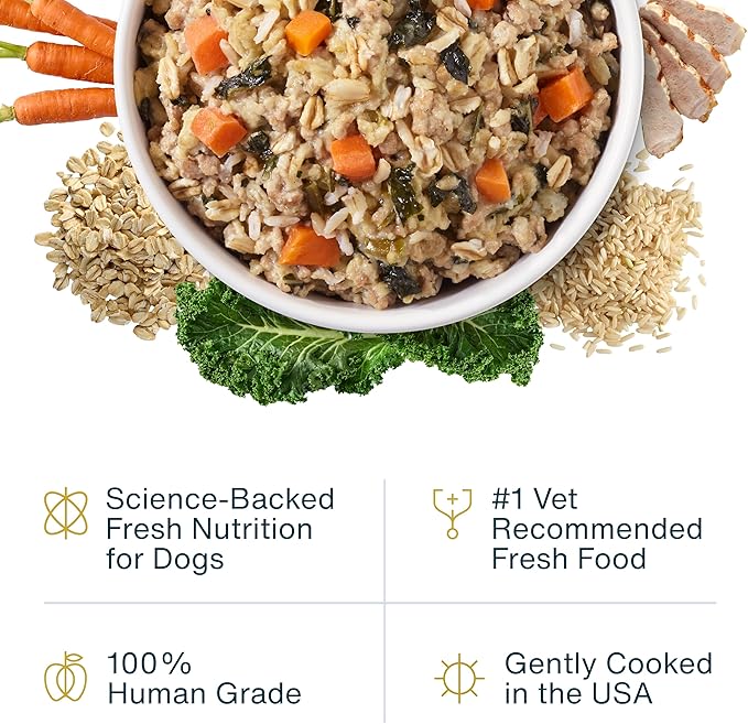 JustFoodForDogs JustFresh Wet Dog Food, Fresh Pet Meals and Toppers with No Preservatives, Resealable Package, Human Grade, Home-Cooked Pork, 12 oz - 7 Pack