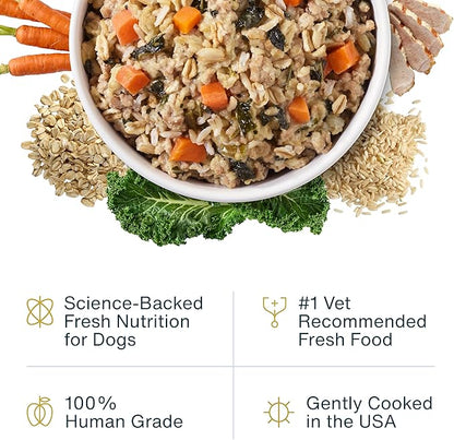 JustFoodForDogs JustFresh Wet Dog Food, Fresh Pet Meals and Toppers with No Preservatives, Resealable Package, Human Grade, Home-Cooked Pork, 12 oz - 7 Pack