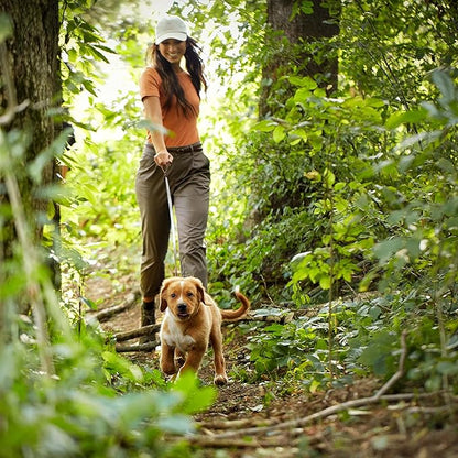 Nature′s Recipe Grain Free Puppy Chicken, Sweet Potato & Pumpkin Recipe Dry Dog Food, 12 lb. Bag