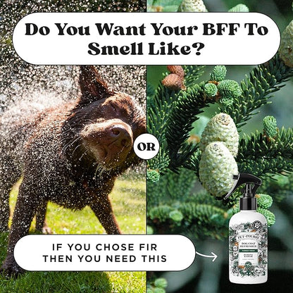 Poo-Pourri Furrest Fresh Dog Deodorizing Spray, 8 Fl Oz Grooming Perfume for Dog Coat, Pet Odor Neutralizer with Essential Oils, Vet Recommended, Paraben & Sulfate-Free Fir, Amber, & Cedarwood Scent
